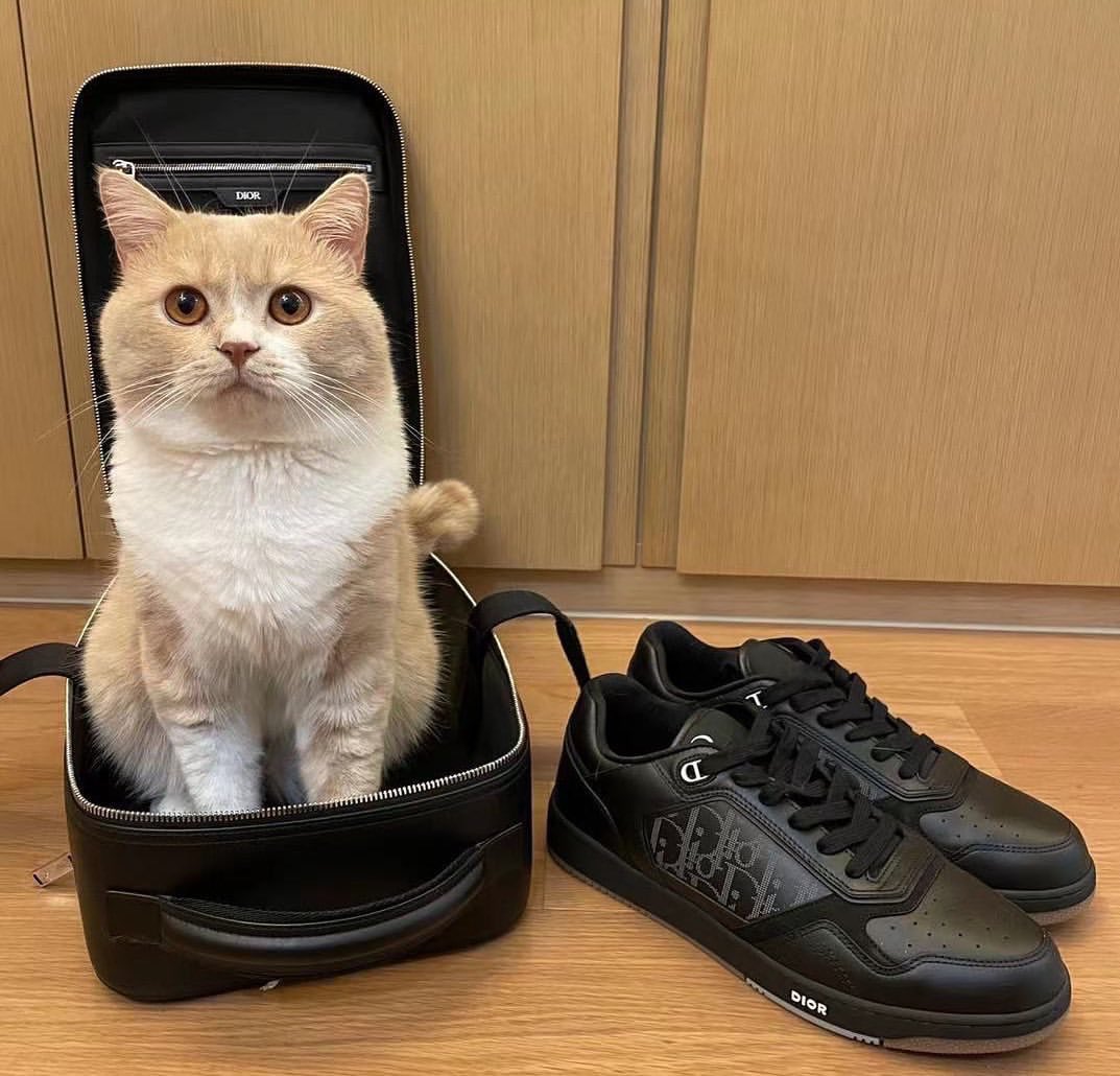 LINYILOVER_TH's tweet photo. 2020.08.18
LinYi’s Instagram Update
“need a cat model? @dior #diorb27 “
พบคนอวดแมวอีกแล้ว
กาบ้าน่ารักจังเลยครับ?
#林一 #LinYi #หลินอี #린이
#LinYiLover_TH #บ้านคนรักหลินอี https://t.co/tOf4wfpGPZ