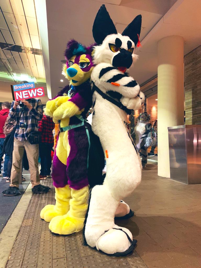 OffYeen's tweet photo. @phoenixwuff Y’all short https://t.co/sTfXEsfXpg