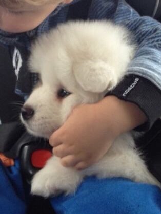 เพทาย (@ptrawgatummay) on Twitter photo 