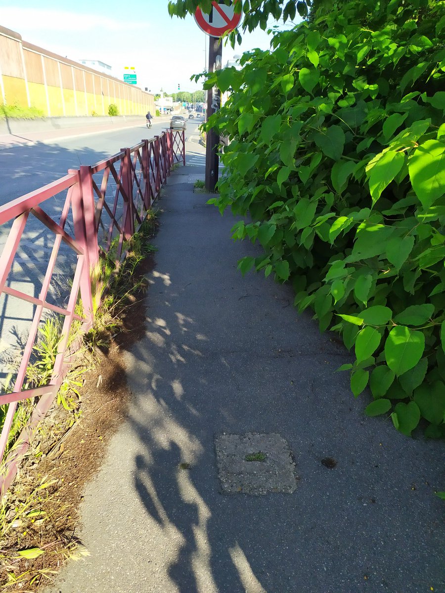 13zAngelique's tweet photo. @fresnes_94  on va bientôt plus pouvoir passer sur le trottoir.... https://t.co/TTw6Cnvsmp