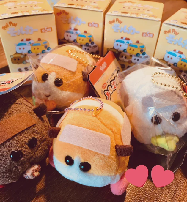 届いたわよ✨プイプイ🐹 