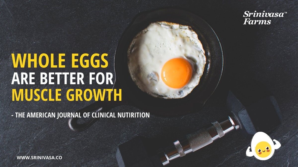 srinivasa_farms's tweet photo. Consumption of whole #eggs promotes greater stimulation of post-exercise muscle protein synthesis than consumption of equal amounts of egg whites

Source: American Journal of Clinical Nutrition
#EggProtein #EggsareSafe #EggsBoostImmunity #EggNutrition #PoultryIndustry #Poultry https://t.co/ZtFo21qWNx