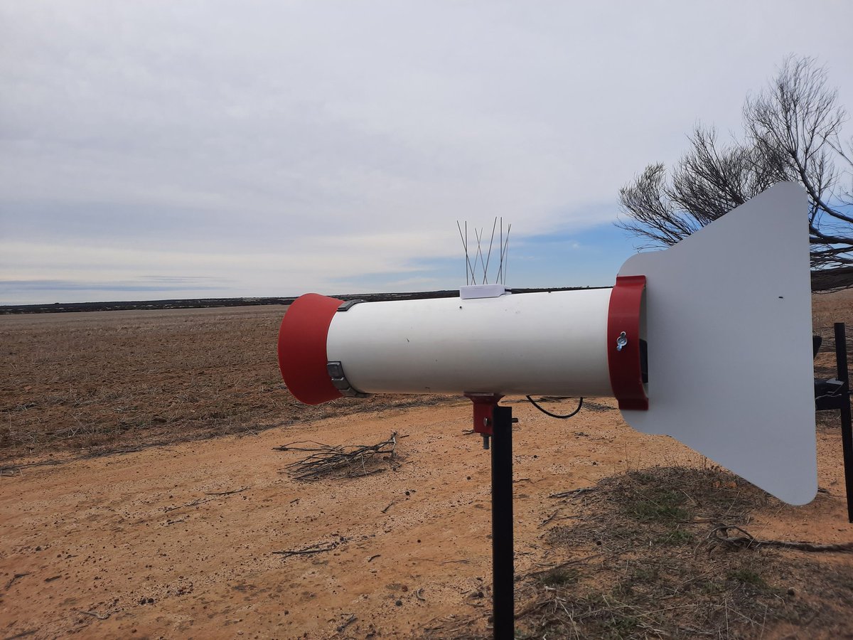 Spore traps set up around the eastern wheatbelt to look at spot type net blotch (STNB) spore release from barley stubble 🌱🔬
#ProtectingWACrops 
<a href="/DPIRDbroadacre/">DPIRD Broadacre - WA Grains & Livestock</a> <a href="/GRDCWest/">GRDC West</a>