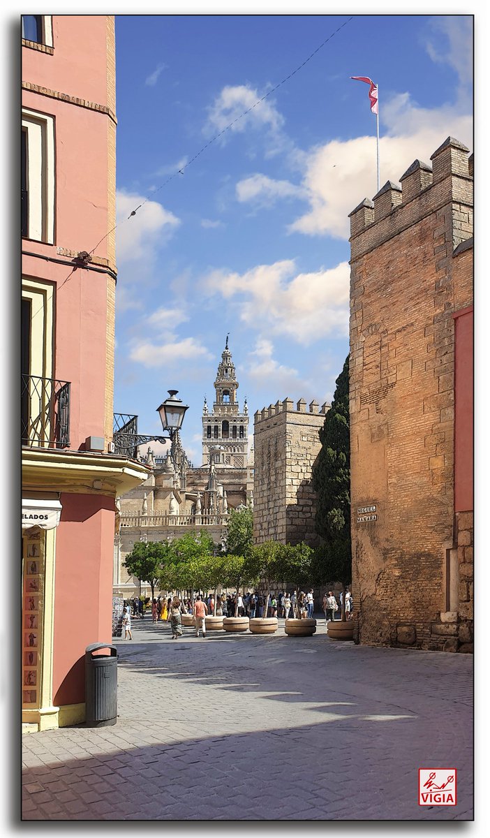 vigiadeisbilya's tweet photo. Sevilla, rico vergel donde el arte y la poesía resumen en un clavel la gracia de Andalucía. La que avariciosa guarda un parque con señorío donde le teje guirnaldas a su novia La Giralda cuando se mira en el río. Manuel García Romero. #FelizFinde #Sevilla #Triana #Macarena https://t.co/xKTU0PD4jv