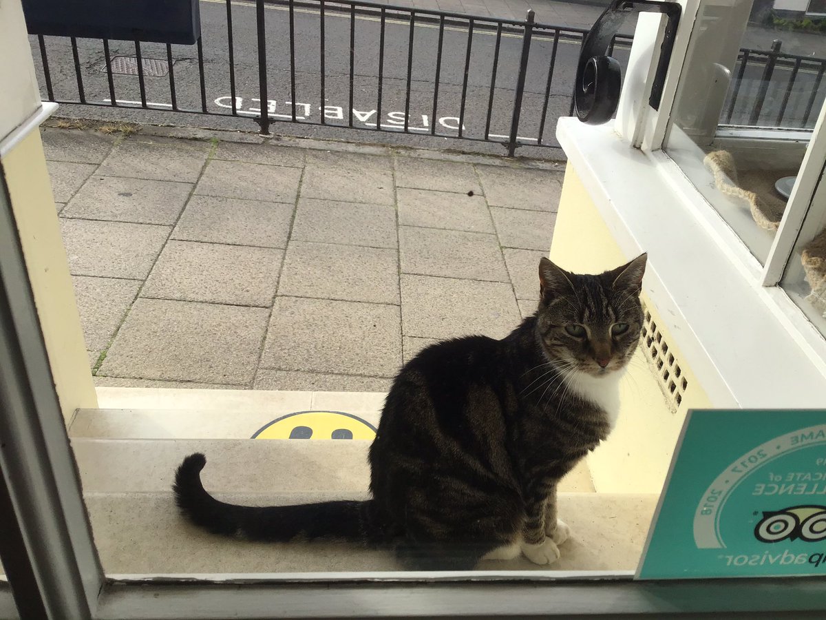 First customer of the day followed Stuart to work.