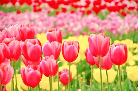07Take330617's tweet photo. こんにちは https://t.co/4ahEzLup9R