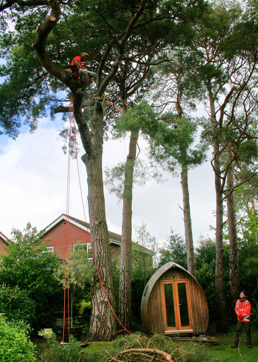 Its Friday! So before we head out to enjoy our long weekend there's time to take a look at some works we have been conducting for a domestic client in Dibden Purlieu