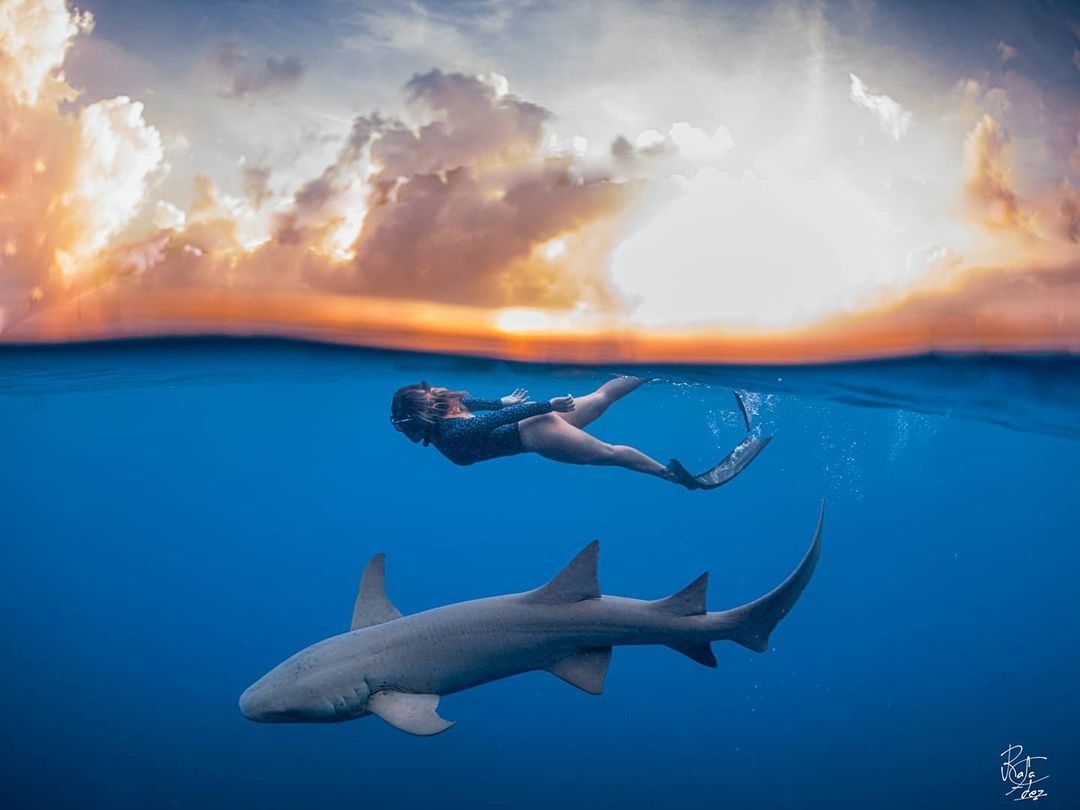 DeeperBlue.com tweet media