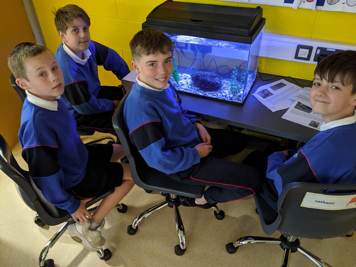 Gnmgreenteam's tweet photo. Learning through lunchtime in @MsHearne4th. Incredible educational resources provided by @MarineInst &amp; @explorersedu  #oceanliteracy #GlobalGoals @GreenSchoolsIre #Tramore #Oceanics https://t.co/VMVIn7PQ96