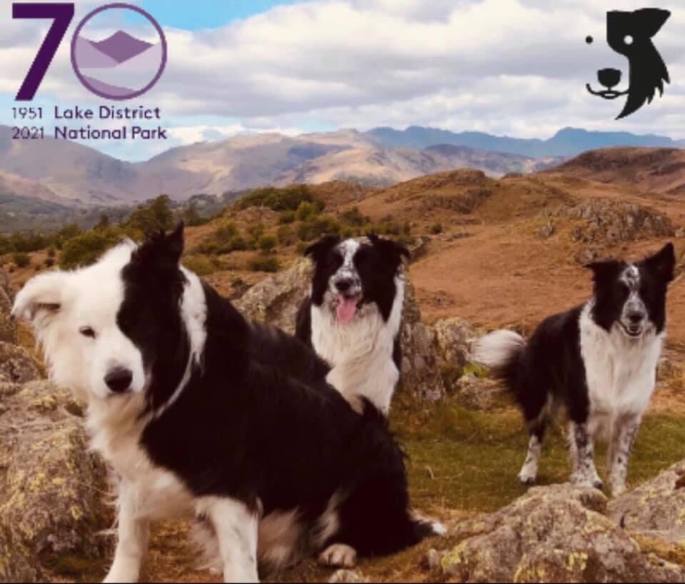 What ever you’re doing this #bankholidayweekend - enjoy yourself! 
We’re having a little adventure & we just know Zak will be with us in spirit.
#zakslakekandlegacy 
#getoutdoors #bekind #family #begreen 
#lakedistrict #carelivevisit #lakedistrictkind # #lakedistrict70
♥️🐕🐕🐕♥️