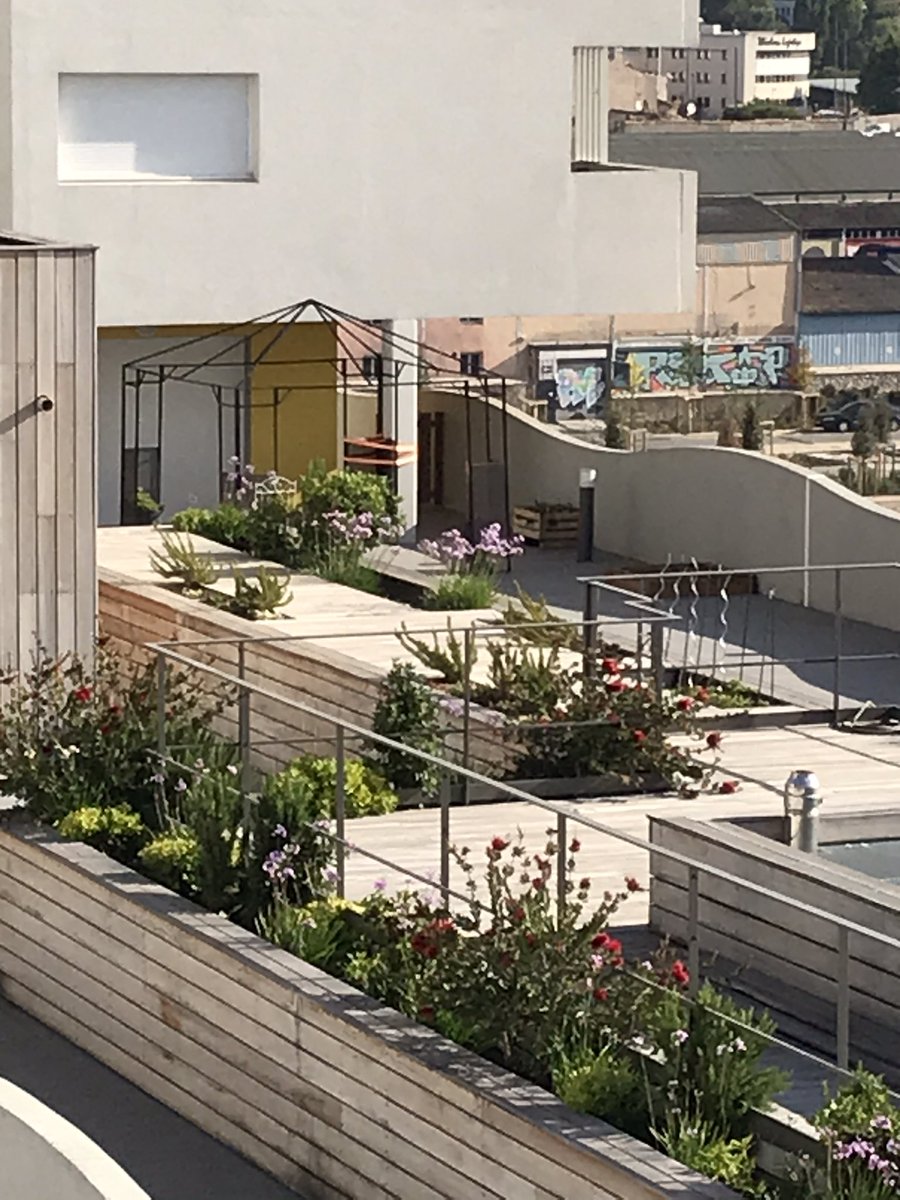 SEiffage's tweet photo. Première récolte de l’année sur la terrasse partagée de la Résidence Intergenerationnelle Cocoon’Age de @SEiffage https://t.co/Z2hUIzIYSd
