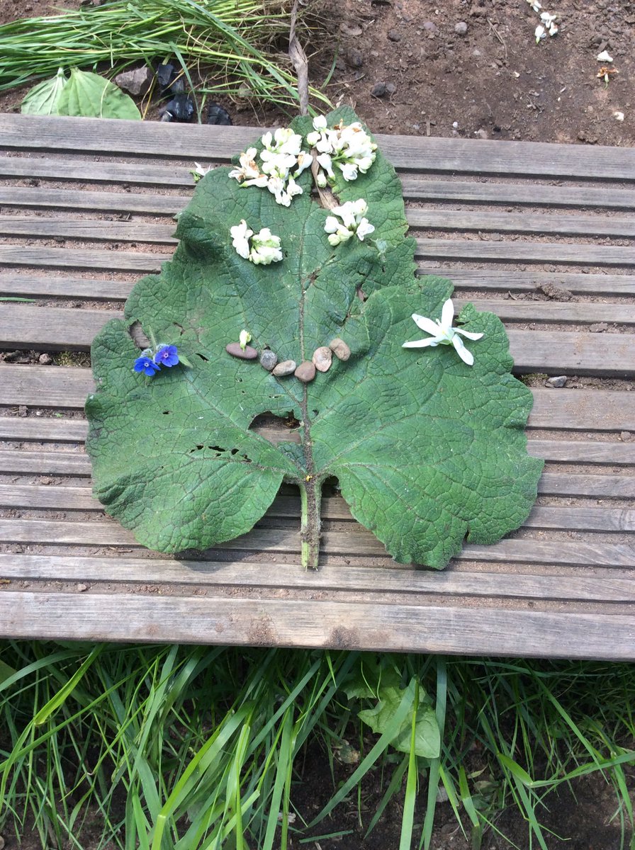 foley_park's tweet photo. Year 4 made faces at Forest School with natural resources they could find. 
Have a little look at these..... #weloveforestschool #everythingnatural #lovingoutsidelife #teamy4 https://t.co/CIo4VxCOJa