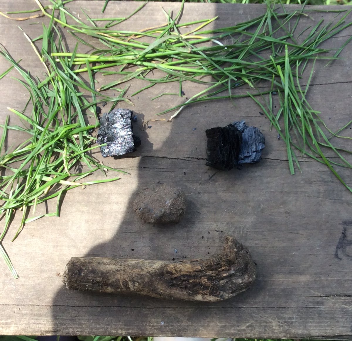 foley_park's tweet photo. Year 4 made faces at Forest School with natural resources they could find. 
Have a little look at these..... #weloveforestschool #everythingnatural #lovingoutsidelife #teamy4 https://t.co/CIo4VxCOJa