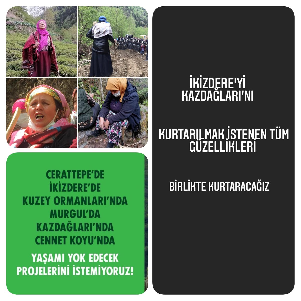 DilekTAT53's tweet photo. #ikizderedireniyor #ikizdereTaşOca��ıOlmasın #Direniyruk 
#hopasahilinedokunma #Kazdağları #DefolCengiz #BosYapmaYemiyoruz #ÇekinPisElleriniziÜlkemden https://t.co/BQuY2nuLEM