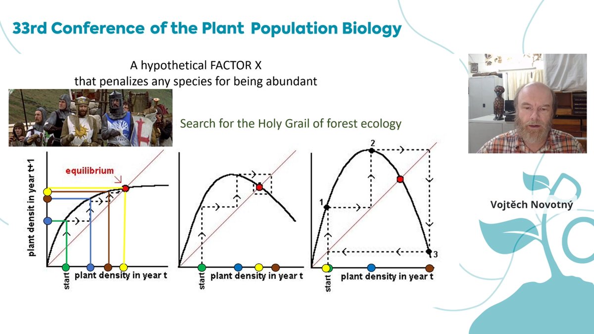 Popbio2020's tweet photo. We are searching for the Holy Grail of forest ecology with Vojta Novotný https://t.co/PDYdcrF8nk