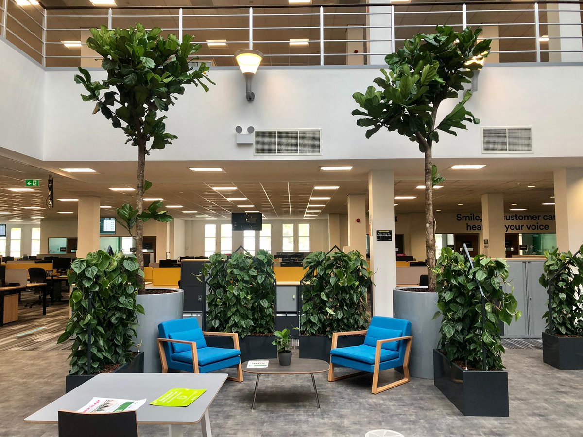 UrbanPlantersNW's tweet photo. We had a large install last weekend creating the perfect meeting area with this fabulous scheme 🙌🏼🌿🪴 #upnw #urbanplanters #newscheme #valueofplants #plantlove #health #greenery #newplanting #troughs #largeleaf #mentalhealth https://t.co/jK3YBBsrtU