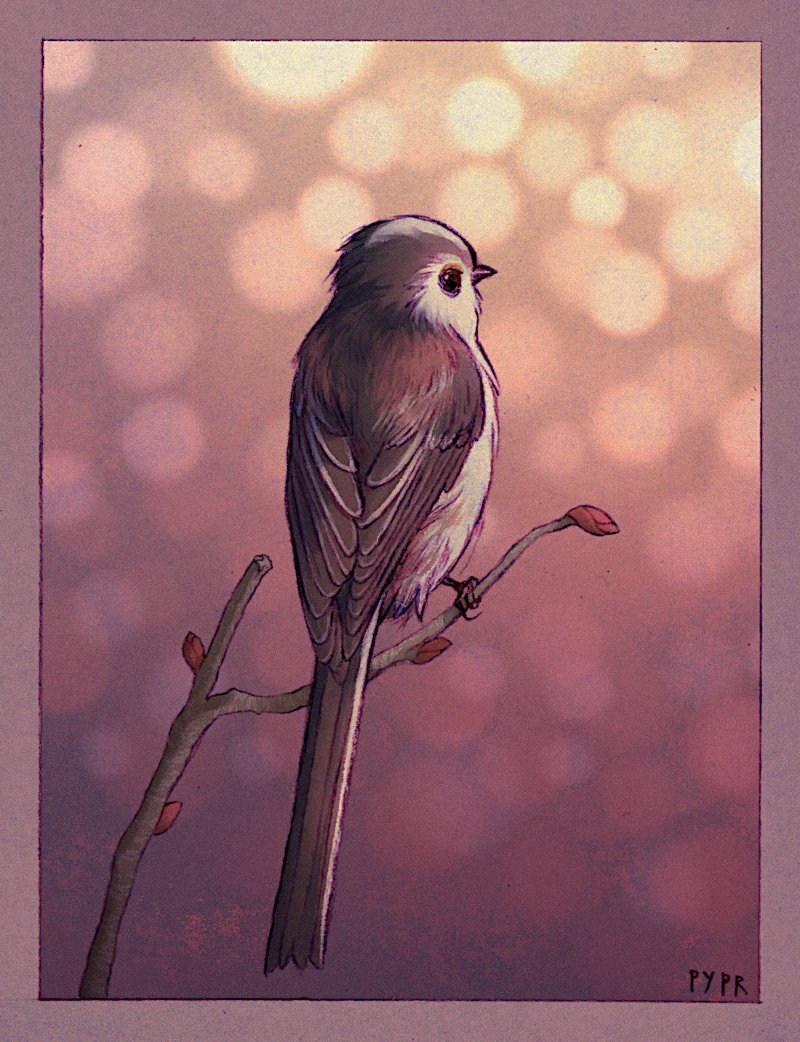 pyprart's tweet photo. Long-tailed tit based on Marek Robak's photograph + some made up bokeh because why not

#artwork #drawing #digitalart #illustration #natureart #animalart #BirdTwitter #polishartist https://t.co/kZOkGJsmNo