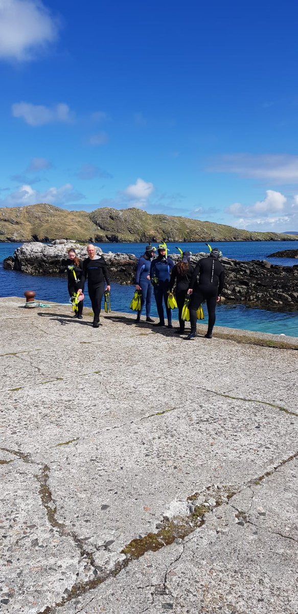 BECoS-MDX tweet media