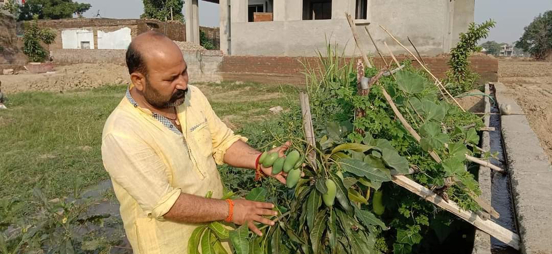 ImAnujbharti's tweet photo. DDC Member From Block #Marheen (Near LoC) Karna Kumar Ji Shared some photos while working in his fields.
He has cultivated a lot of fruits and vegetables Plants in his field & during lockdown period, he is spending his time in his fields.
#modiwithrealfarmers
#farmersmarket https://t.co/1KuvM8DINy