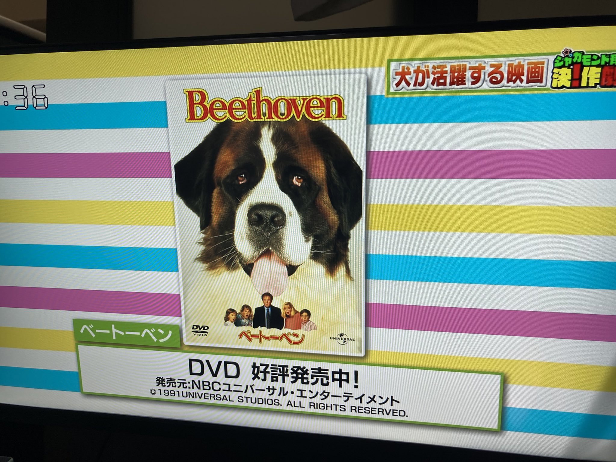 Hoxxon あざとい始まりですが 悲鳴すら上がりませんでした 紹介する映画にホラーが多すぎて 女性陣からクレームをいただいているようです マチコミ ジャガモンド斉藤 T Co M4qytubmae Twitter