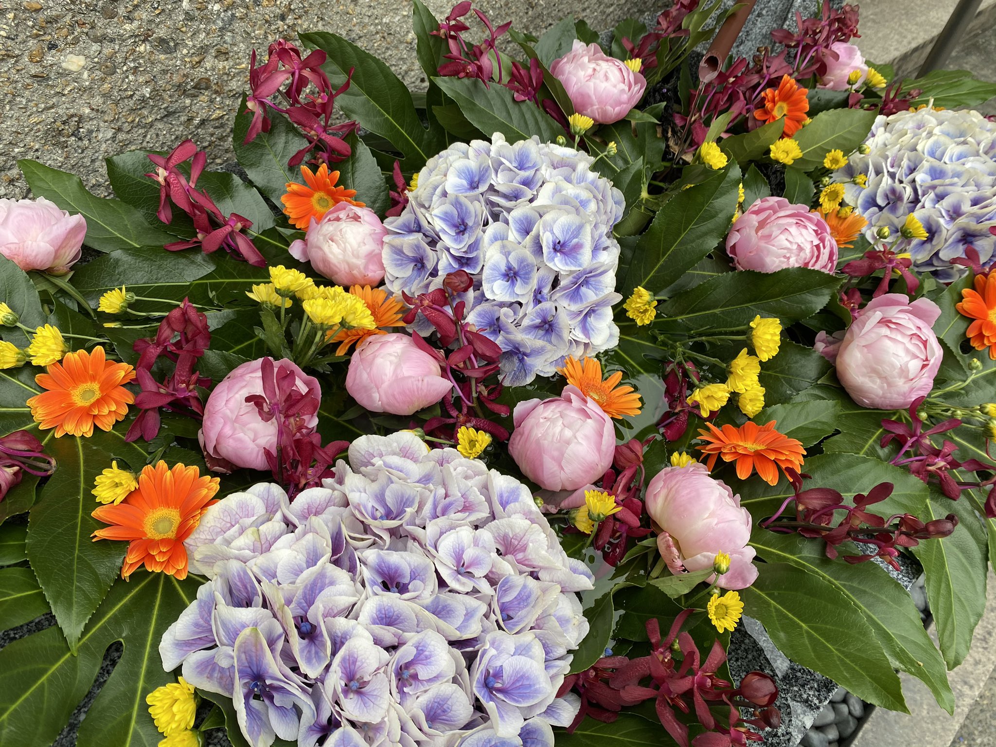 飛行神社 これで一旦最後の花手水です 神社の紫陽花が持っていればこのお花の代わりに入れていきます 緊急事態宣言も延びることでしょうが 梅雨の中休みを楽しんでください 京都府 京都 八幡市 飛行神社 花手水 手水鉢 紫陽花 ヤツデ 芍薬