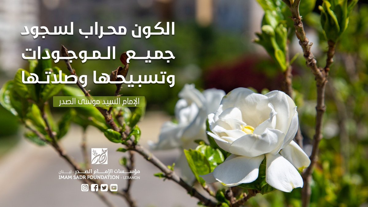 sadrfoundation's tweet photo. "الكون محراب لسجود جميع الموجودات وتسبيحها وصلاتها." #مؤسسات_الامام_الصدر #الإمام_للكل https://t.co/eEsywQ4Zyz