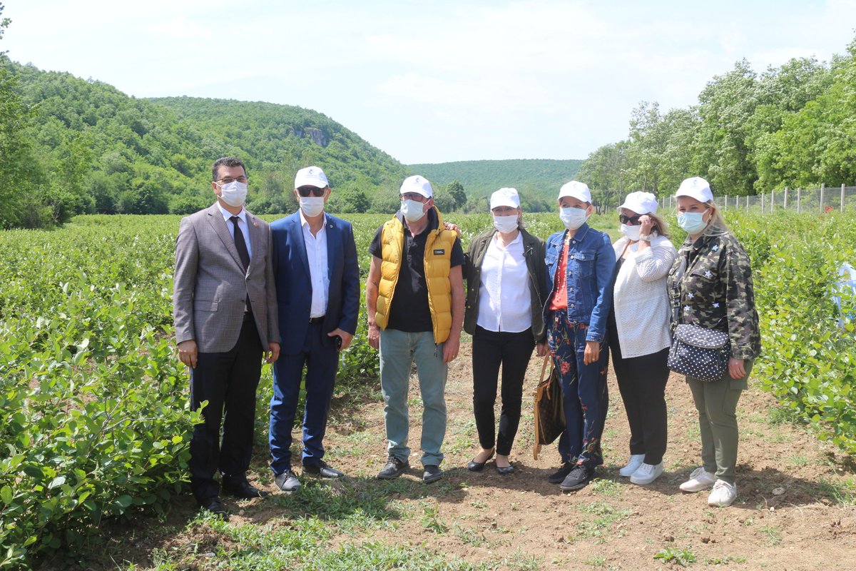tarimkirklareli's tweet photo. #Vize  ilçesi #Soğucak Köyünde üreticimiz Sezgin ÇAKAN'a ait 30 dekar alanda tesis edilen #Aronia bahçesini İl Müdürümüz  Mehmet AKSOY, Kırklareli Ticaret  Borsası Başkanı  Turhan ALTINTEL, Vize İlçe Müdürümüz ve Babaeski İlçe Müdürümüz ziyaret ettiler. ++ https://t.co/nNhPLiUsYs