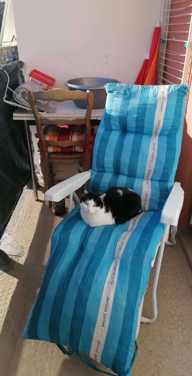 Source_La1's tweet photo. @BidaudNathan @tefou34 @HutCat Le miens est Chill https://t.co/YGYz0g6sHM