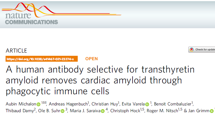 We just published our NI006 preclinical work. The human antibody NI006 is currently investigated in Phase 1 for the treatment of ATTR cardiomyopathy. go.nature.com/3wBMxSI #Neurimmune #ATTR #amyloidosis