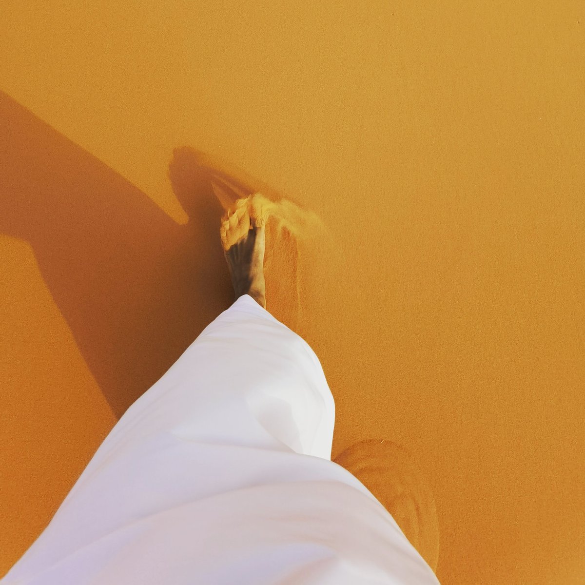 Zaid Altaweel tweet media