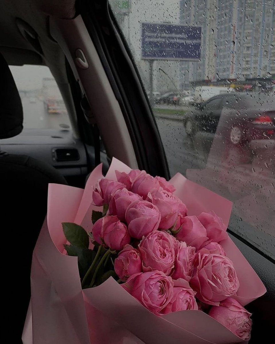 RaniaAmour_'s tweet photo. I've always found the rain very calming.
What about you? 
.
.
.
#RainyDay #roseslover #morningdrive #raindrops #brunettewoman #pinkflowers #modellife #FridayFeeling #calmingvibes https://t.co/Wsn3GJGwYS