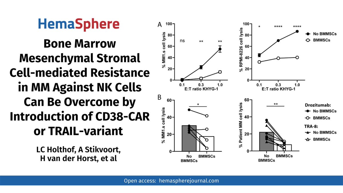 Hemasphere_EHA's tweet photo. How can the evasion of #MM #BMMSCs to immunotherapeutic strategies be overcome? What is the role of the #microenvironment mediated #ImmuneResistance on the efficacy of #immunotherapy? To read more 👉  https://t.co/fzBcCd3PR3 

#mmsm #CAR #NKcell @MichaelodwyerMD https://t.co/Gl0jRbzSY5