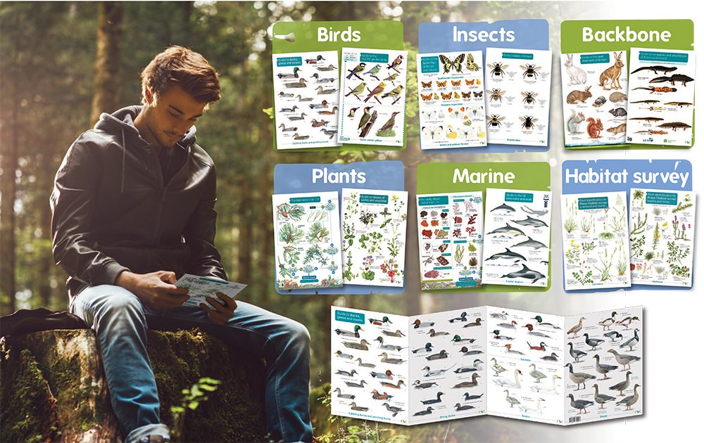 Want to learn more about nature? <a href="/FieldStudiesC/">Field Studies Council</a> have free wildlife guides available to help you connect and learn more. 🌳🦋

Register for yours here. 👇

ow.ly/YCHG50EWyiA

#GenerationGreen <a href="/DefraGovUK/">Defra UK</a> <a href="/HeritageFundUK/">The National Lottery Heritage Fund</a>