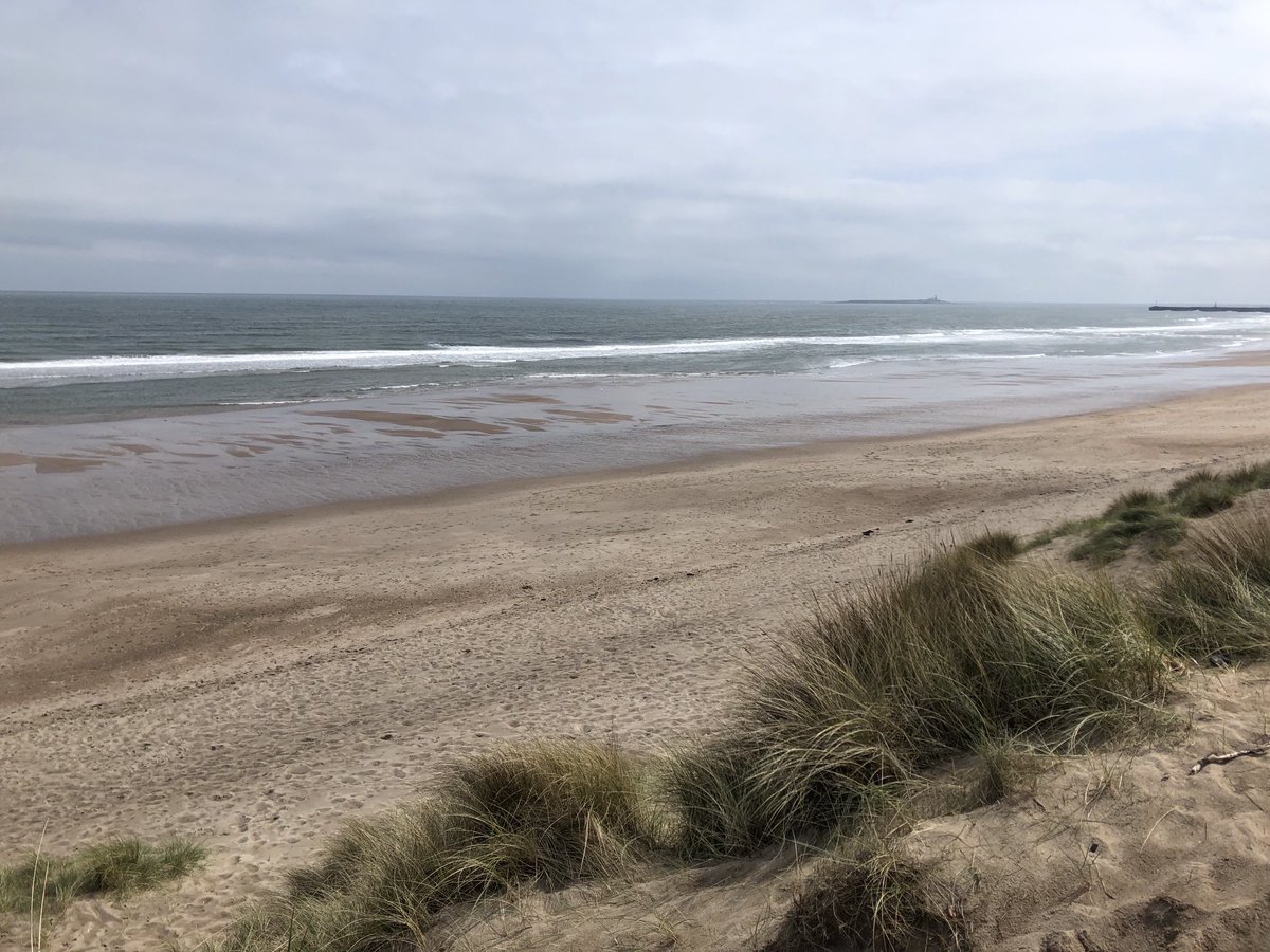 erskine_fiona's tweet photo. Goodbye lovely #HoppingHare. What an idyllic place to write! And thanks #Northumbria for waiting until my last day here to improve the weather. @CoquetCottages @discovernland https://t.co/T68VspnjgU