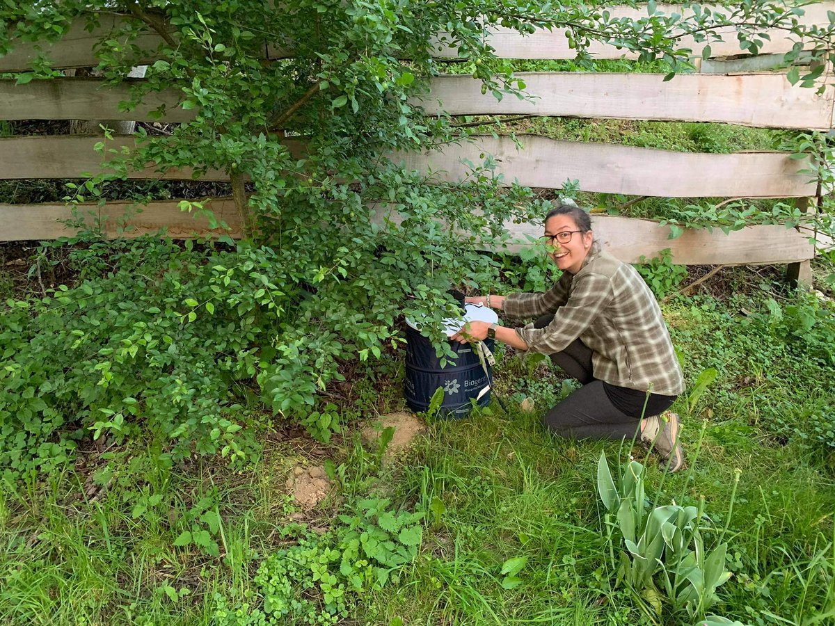 KorneliaKurucz's tweet photo. 😎 #AIMsurv 2021 in progress☝️we   continue to catch #aedes #invasive #mosquitoes 🦟 in Hungary 🇭🇺 within the @aedescost field #surveillance activities @GaborKemenesi @JakabLab #dwarfbait #sentinel #ovitrap https://t.co/wxfGeAushJ