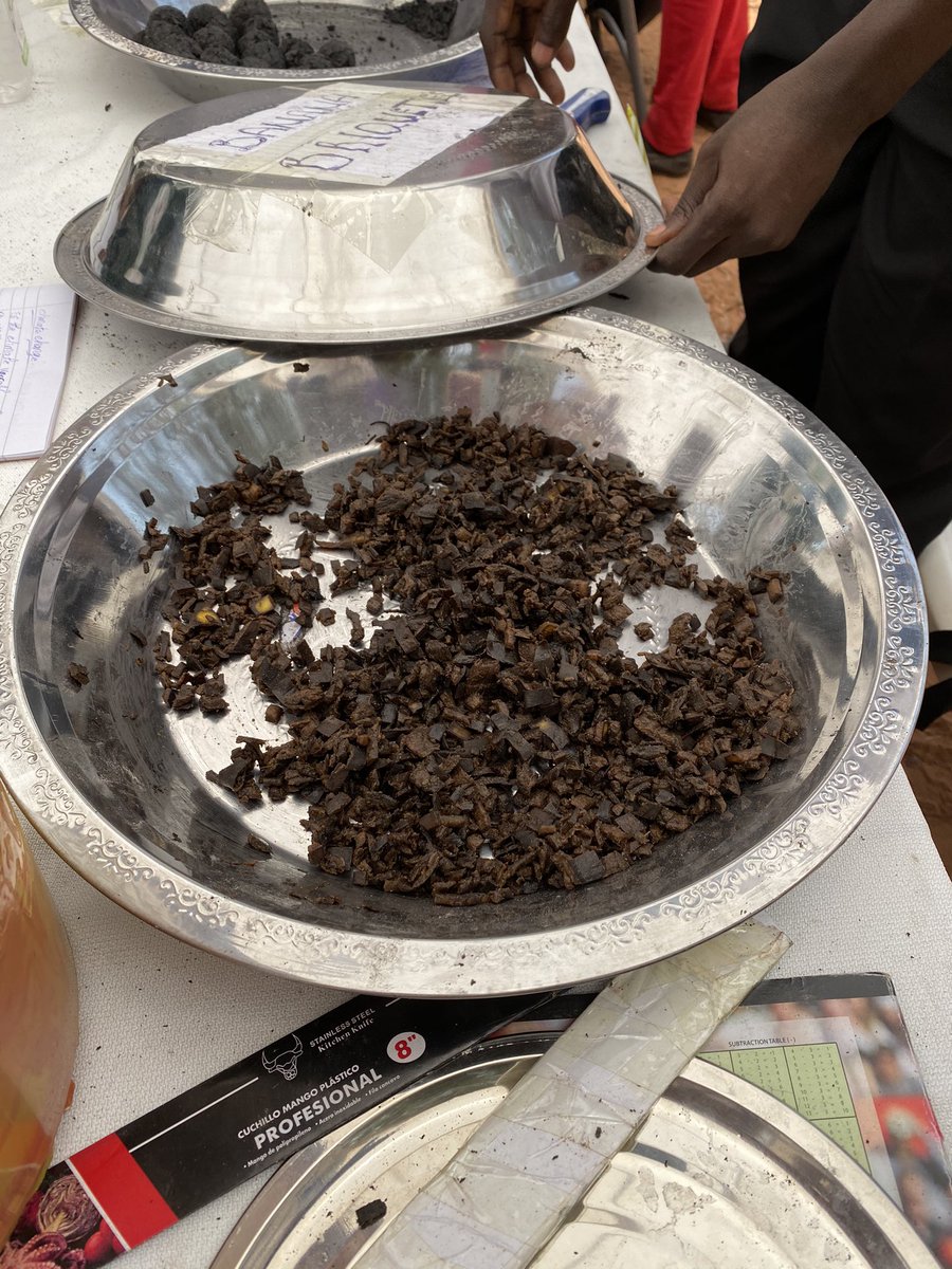 BonellAna's tweet photo. Final day yesterday of our #solutions4climate #gambia - another day with fantastic engagement. My take homes: local solutions were sustainable, innovative and cheap although often take time.
@mrcunitgambia @PaulineScheelb1 @earthfluenza @gambiaoceanhero @LSHTM_Planet
1/2 https://t.co/A5mjJxhgL9