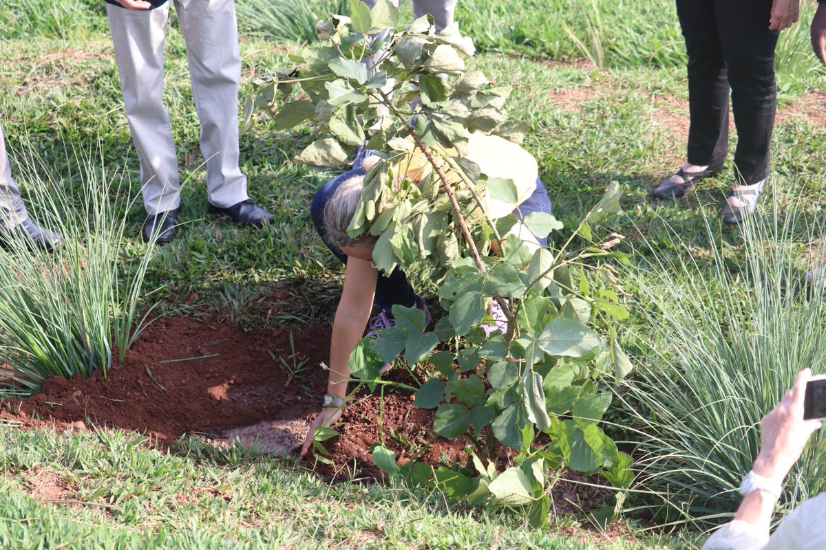 IBUKAHealing's tweet photo. This morning, as they are ending their visit on the  #RenewedMemoryProject here in Rwanda, @RenewedMemory delegation from #Israel have planted a tree on #GardenOfMemory at @NyanzaMemorial, It symbolizes Hope and rebirth after the 1994 Genocide against the Tutsi.
#Kwibuka27 https://t.co/tkb6sRAd2l