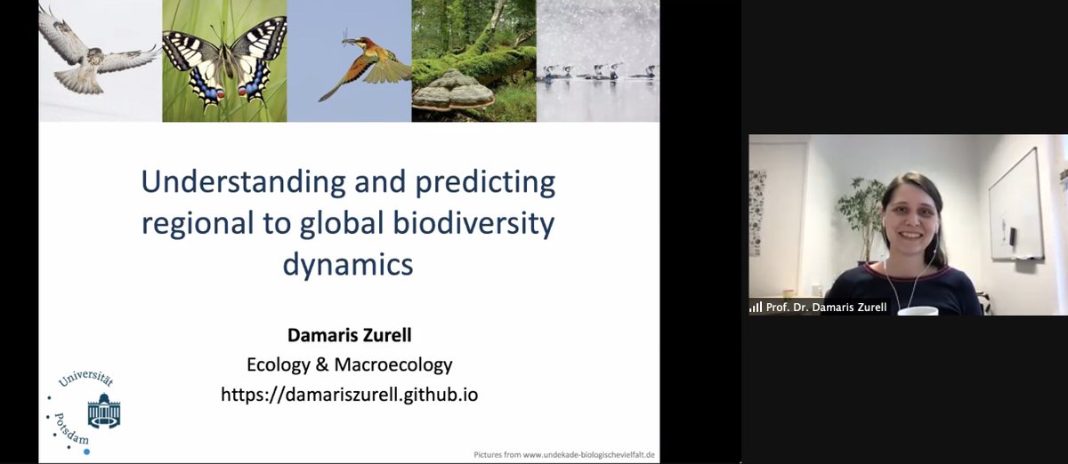 SFB_1294's tweet photo. We are delighted to have Damaris Zurell @ZurellLab as speaker for our #CRC1294 Colloquium talking about  'Understanding and predicting global biodiversity dynamics' today! #biodiversity #excitingstuff #onlinecolloquium #bringyourcoffee 🌱🐝🦍🐯🌱🎍 https://t.co/8RnUbBeGD8