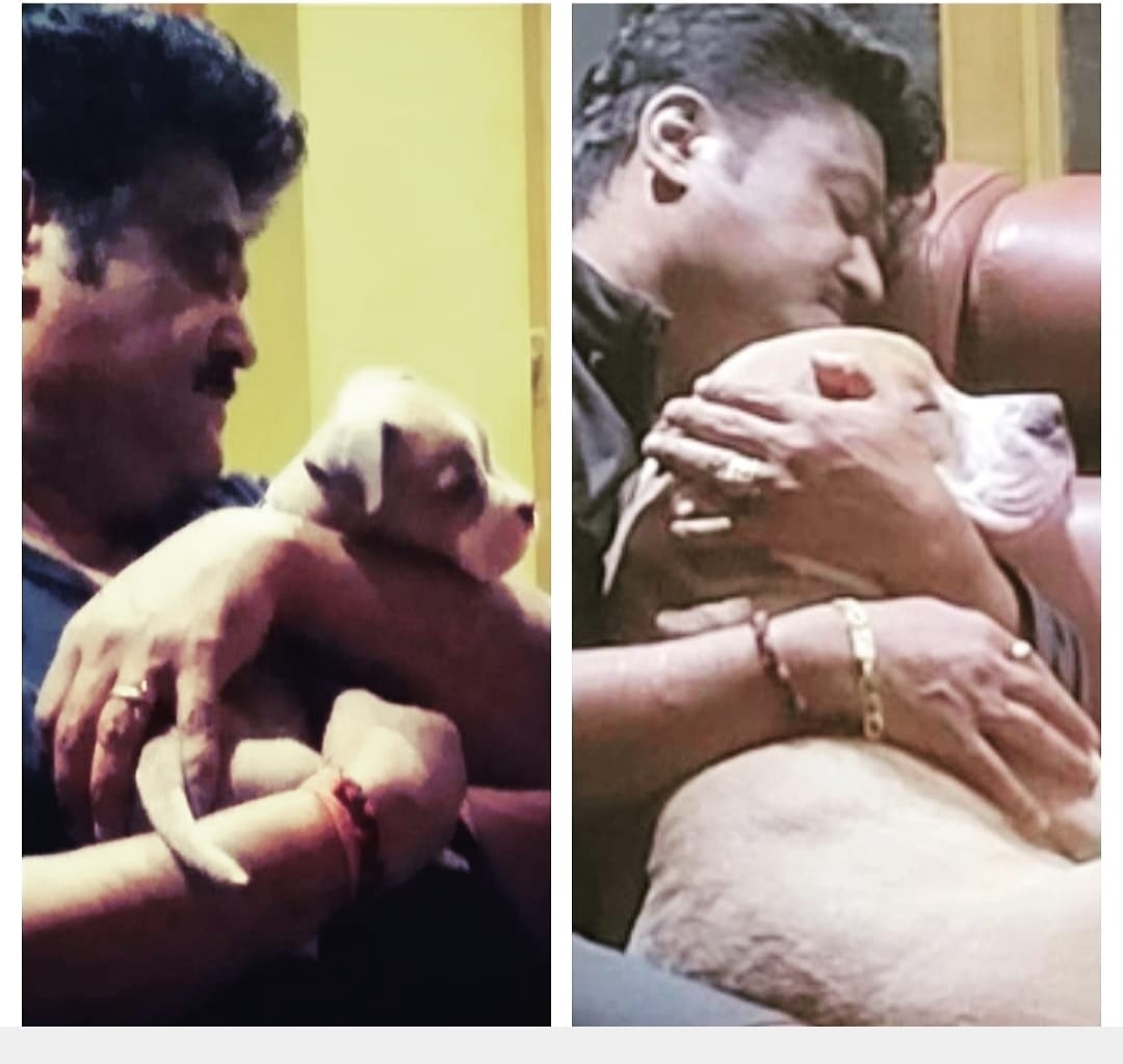 jaggeshFCR's tweet photo. ದಯೆ ಇಲ್ಲದ ಧರ್ಮ ಯಾವುದಯ್ಯ!
ದಯೆಬೇಕು ಸಕಲ ಪ್ರಾಣಿಗಳಲ್ಲಿ!
ದಯೆ ಧರ್ಮದ ಮೂಲವಯ್ಯ ಕೂಡಲಸಂಗಮ ದೇವ!
ಪ್ರಾಣಿಪ್ರಿಯ ನಮ್ಮಣ್ಣ ಜಗ್ಗಣ್ಣ ಏಕಾಂತದಲ್ಲಿ.. @Jaggesh2 @fans_jaggesh https://t.co/PjMYMLM16O