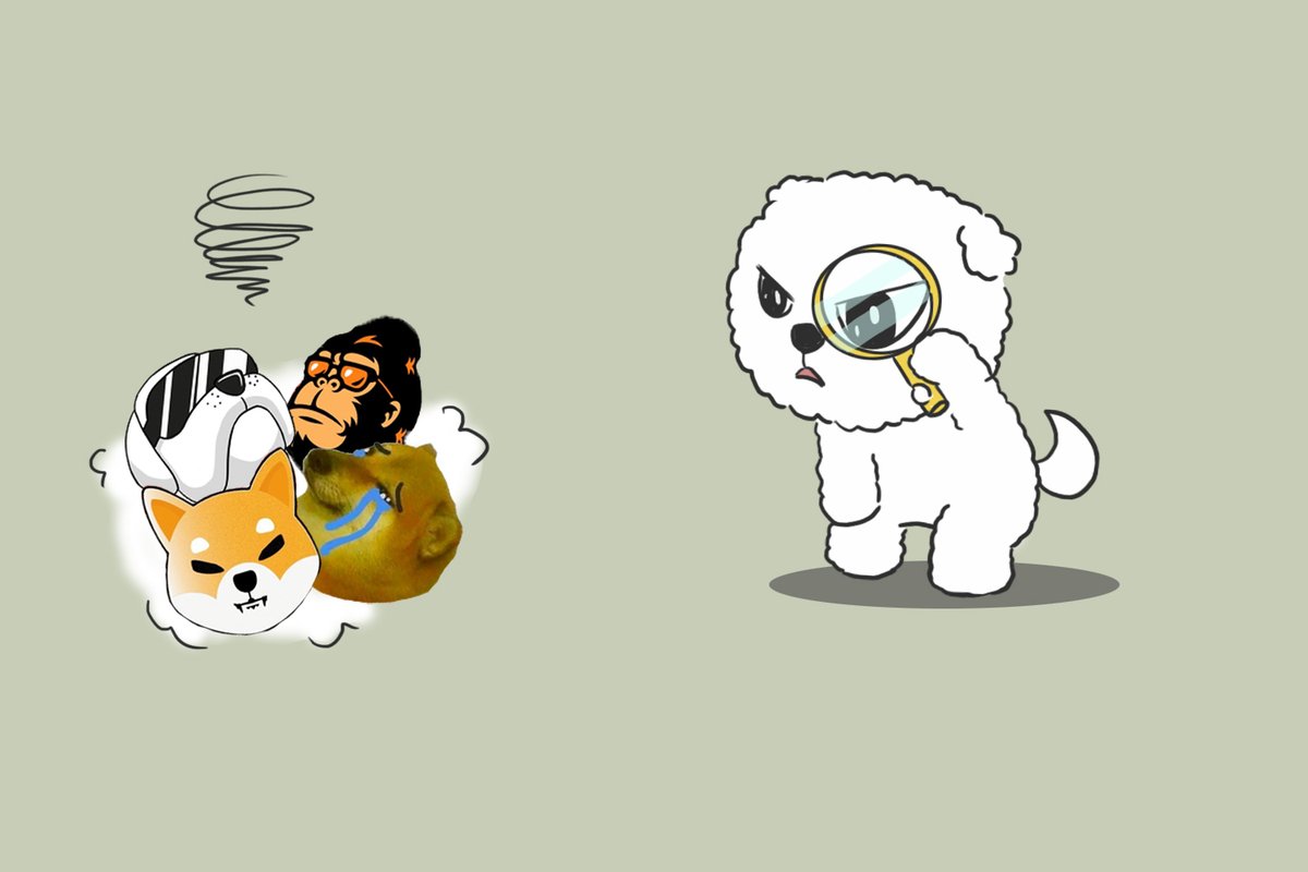 What's wrong with these animals 😕😕?
#dogecoin #feg #hoge #shib