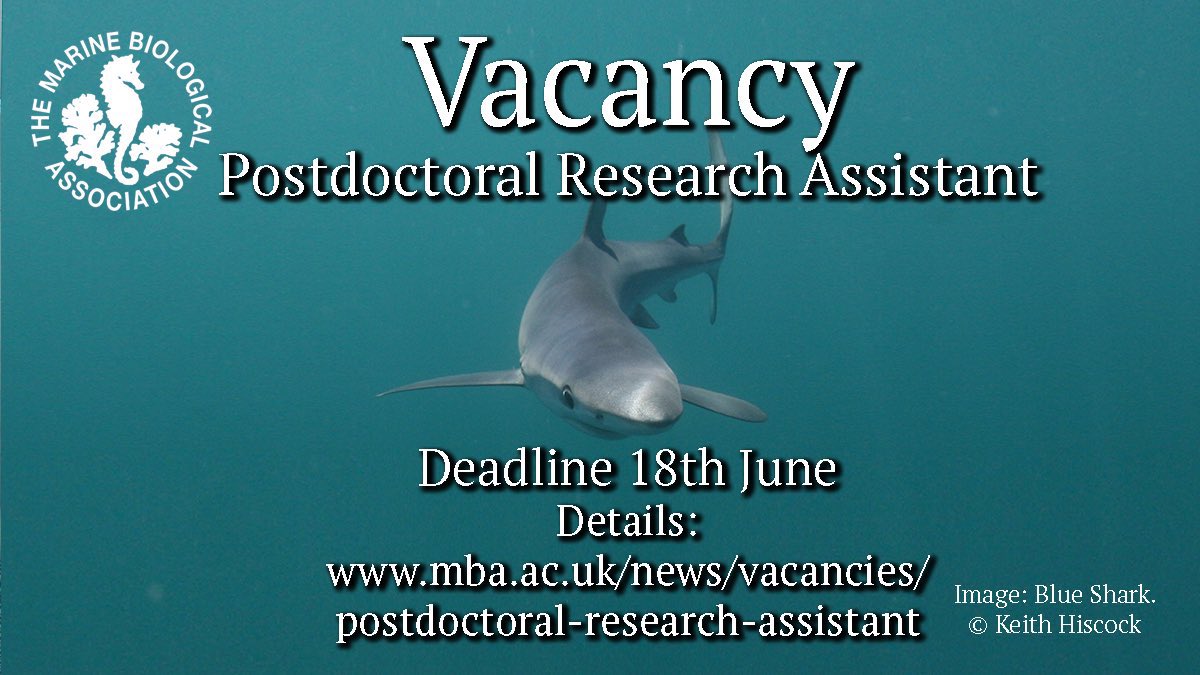 thembauk's tweet photo. We currently have FOUR vacancies to join our vibrant community @thembauk 
Details: https://t.co/vNx4KBtO3t https://t.co/dcN5AWWRez