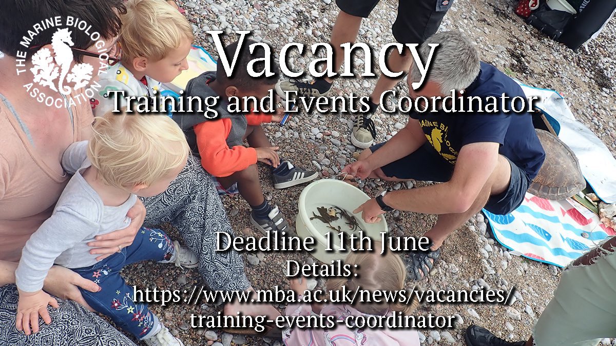 thembauk's tweet photo. We currently have FOUR vacancies to join our vibrant community @thembauk 
Details: https://t.co/vNx4KBtO3t https://t.co/dcN5AWWRez