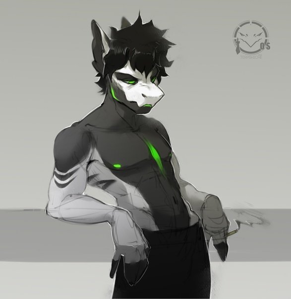 TVOS20025191's tweet photo. Commission for user Fa https://t.co/faMF0LqiB7