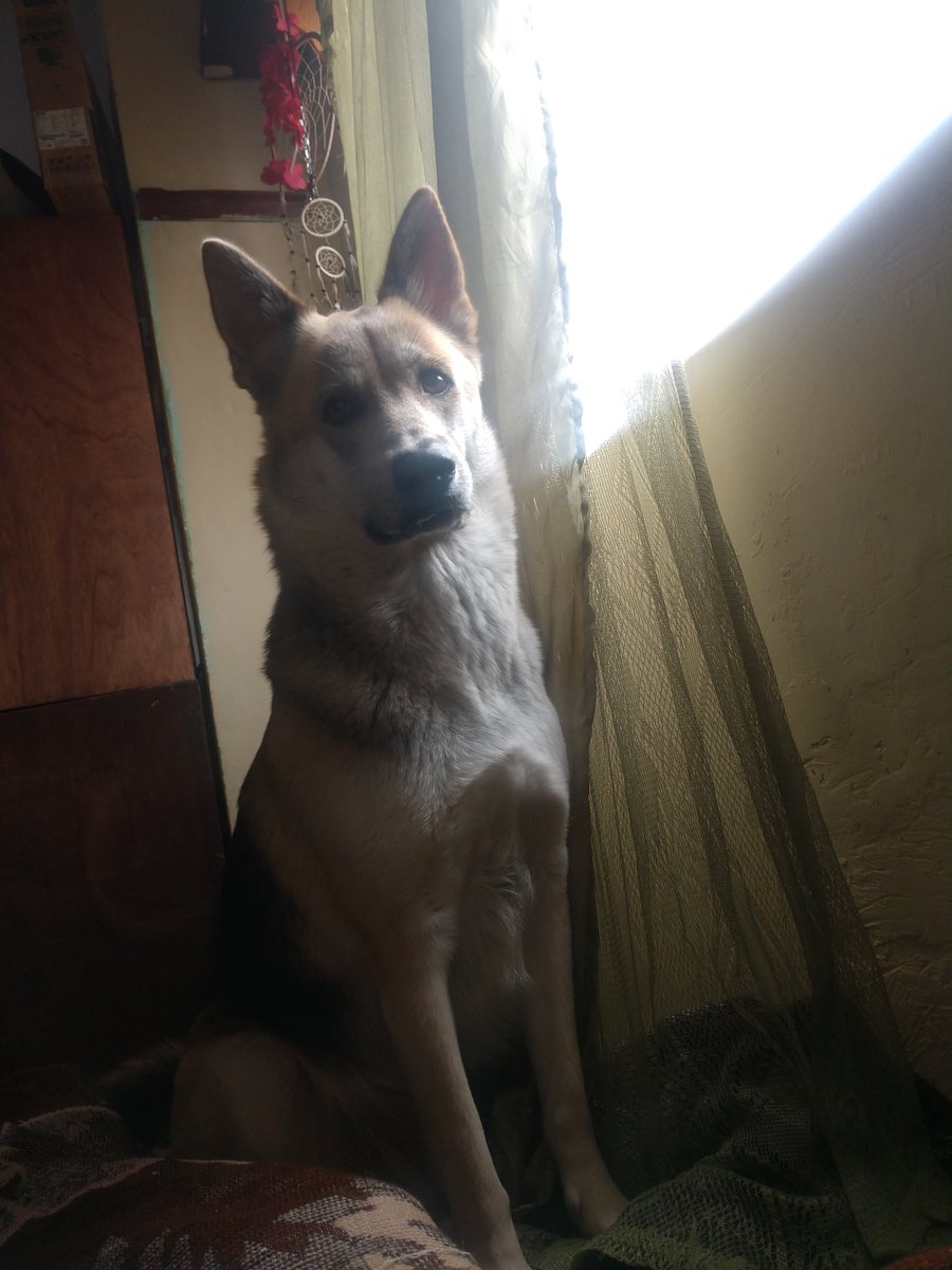 curlybollo's tweet photo. Amo tanto a mi Makooo https://t.co/f4YqbDGWLt