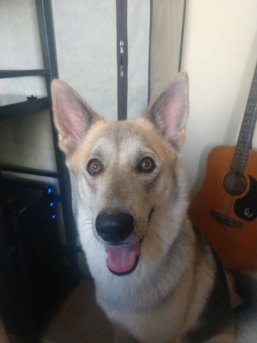 curlybollo's tweet photo. Amo tanto a mi Makooo https://t.co/f4YqbDGWLt