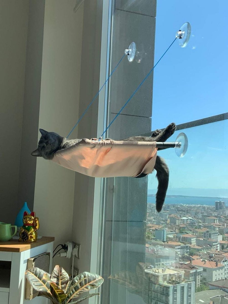 angel96650585's tweet image. Ре...Лакс 😁