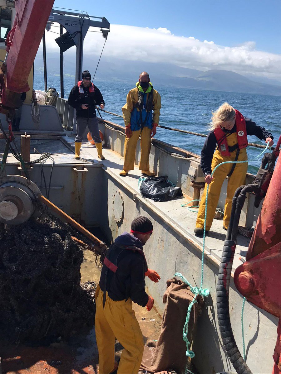 MOSSS (@mosssnorthwales) on Twitter photo Glad the MOSSS project could be involved in the deployment stage of the lobster ageing project. Superb day out on the boat with <a href="/PadstowLobster/">NationalLobsterHatch</a> <a href="/mtaylor_lab/">Martin Taylor</a> and <a href="/Corydoras_Chris/">ChrisButler</a> wish all collaboration could be so simple thanks as usual to <a href="/BwydMor/">James wilson</a> <a href="/Wjj66W/">W J Jones 🏴🇪🇺🇺🇦</a> Glad the MOSSS project could be involved in the deployment stage of the lobster ageing project. Superb day out on the boat with <a href="/PadstowLobster/">NationalLobsterHatch</a> <a href="/mtaylor_lab/">Martin Taylor</a> and <a href="/Corydoras_Chris/">ChrisButler</a> wish all collaboration could be so simple thanks as usual to <a href="/BwydMor/">James wilson</a> <a href="/Wjj66W/">W J Jones 🏴🇪🇺🇺🇦</a>