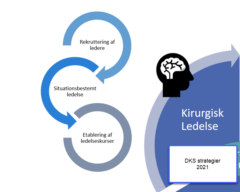 DKS sætter nu strategisk fokus på ledelse,  fordi det er lederne, der skal sikre god sammenhæng mellem fagligheden, patienternes behov og politiske ønsker. Samtidig er det vigtigt at ledelsen kan skabe udviklingsmuligheder og samle mellem de forskellige faggrupper.