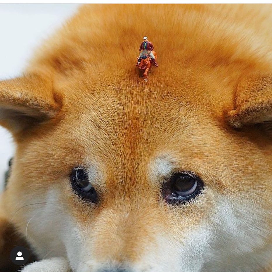 柴犬まるgallery Marusan S Tweet 新しいガチャのご紹介 ミニチュアアーティストの田中達也 Tanaka Tatsuya さんと海洋堂によりコラボ制作されたフィギュアが入っています テーマは 日本の昔話 試しにやってみたら浦島太郎のフィギュアが入っていまし