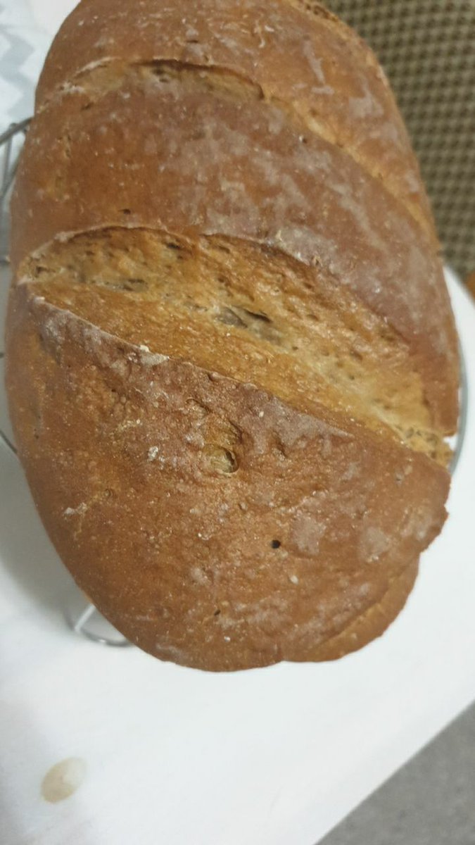 ThalyraE's tweet image. Something for your breakfast #foodlovers #selfmadebread #bread #lovecooking #mitliebebacken #brot #brötchen #bakingbread